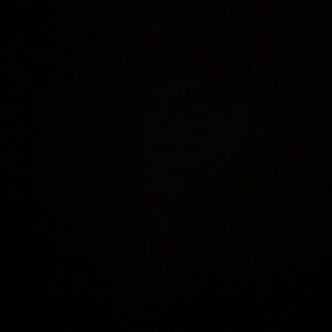 Meet your Posher, Reagan